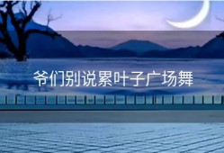 爷们别说累叶子广场舞