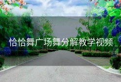 恰恰舞广场舞分解教学视频