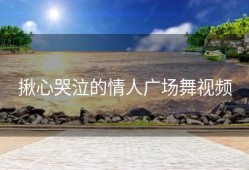 揪心哭泣的情人广场舞视频