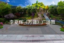 李夏辉《万疆》广场舞