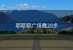 耶耶耶广场舞20步