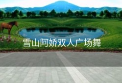 雪山阿娇双人广场舞