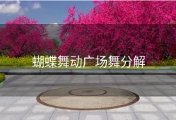 蝴蝶舞动广场舞分解