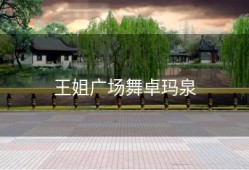 王姐广场舞卓玛泉