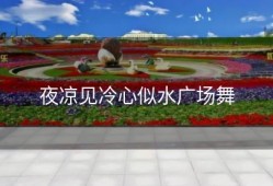 夜凉见冷心似水广场舞