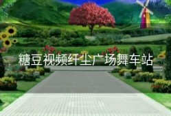 糖豆视频纤尘广场舞车站