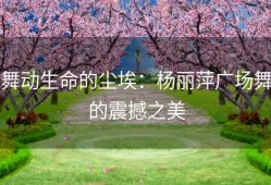 舞动生命的尘埃：杨丽萍广场舞的震撼之美