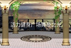 活力健身广场舞夜之光