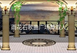 雨花石歌曲广场舞双人