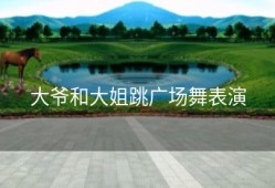 大爷和大姐跳广场舞表演