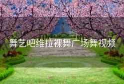 舞艺吧维拉裸舞广场舞视频