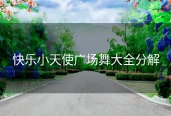 快乐小天使广场舞大全分解