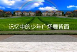 记忆中的少年广场舞背面
