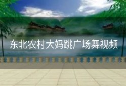 东北农村大妈跳广场舞视频