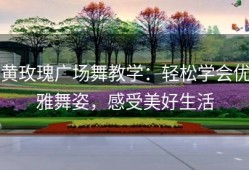 黄玫瑰广场舞教学：轻松学会优雅舞姿，感受美好生活