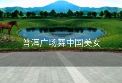 普洱广场舞中国美女