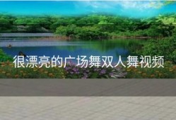 很漂亮的广场舞双人舞视频