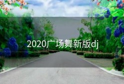 2020广场舞新版dj