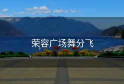 荣容广场舞分飞