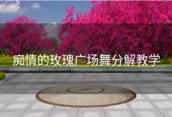 痴情的玫瑰广场舞分解教学