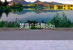 梦露广场舞bibi