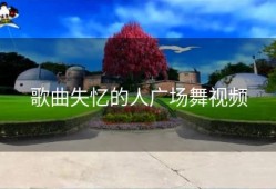 歌曲失忆的人广场舞视频
