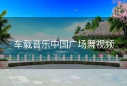 车载音乐中国广场舞视频