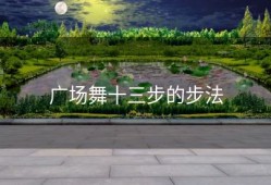 广场舞十三步的步法