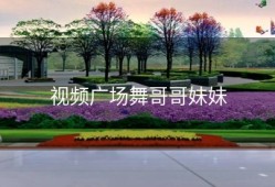 视频广场舞哥哥妹妹