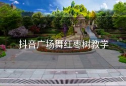 抖音广场舞红枣树教学