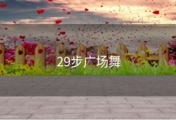 29步广场舞