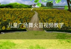 儿童广场舞火苗视频教学
