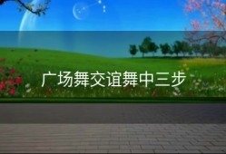 广场舞交谊舞中三步