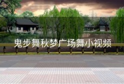 鬼步舞秋梦广场舞小视频