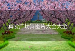 真爱广场舞图片大全大全