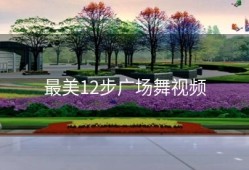 最美12步广场舞视频