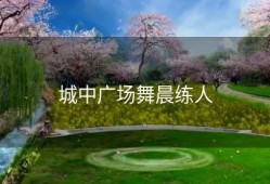 城中广场舞晨练人