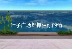 叶子广场舞抓住你的情