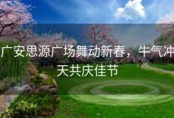 广安思源广场舞动新春，牛气冲天共庆佳节