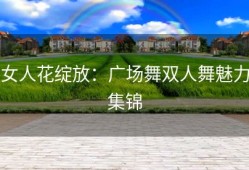 女人花绽放：广场舞双人舞魅力集锦
