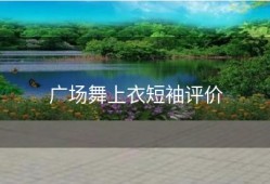 广场舞上衣短袖评价