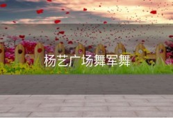 杨艺广场舞军舞