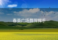 春英广场舞挥挥手
