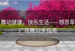 舞动健康，快乐生活——想思草广场舞32步指南