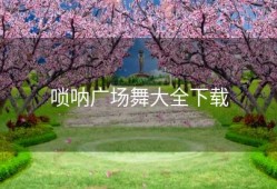 唢呐广场舞大全下载