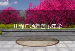川缘广场舞苦乐年华