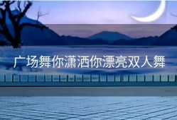 广场舞你潇洒你漂亮双人舞