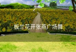 板兰花开张燕广场舞