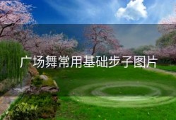 广场舞常用基础步子图片