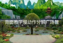 背面教学慢动作分解广场舞